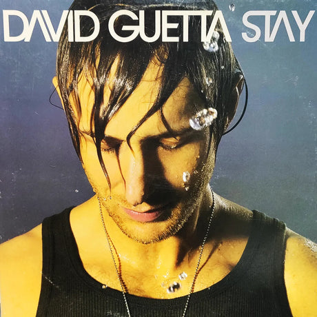 David Guetta – Stay (Vinilo usado)