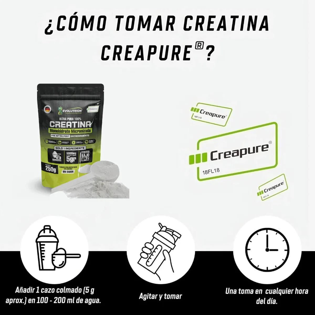 Creatina Monohidratada Creapure MYHD.CL