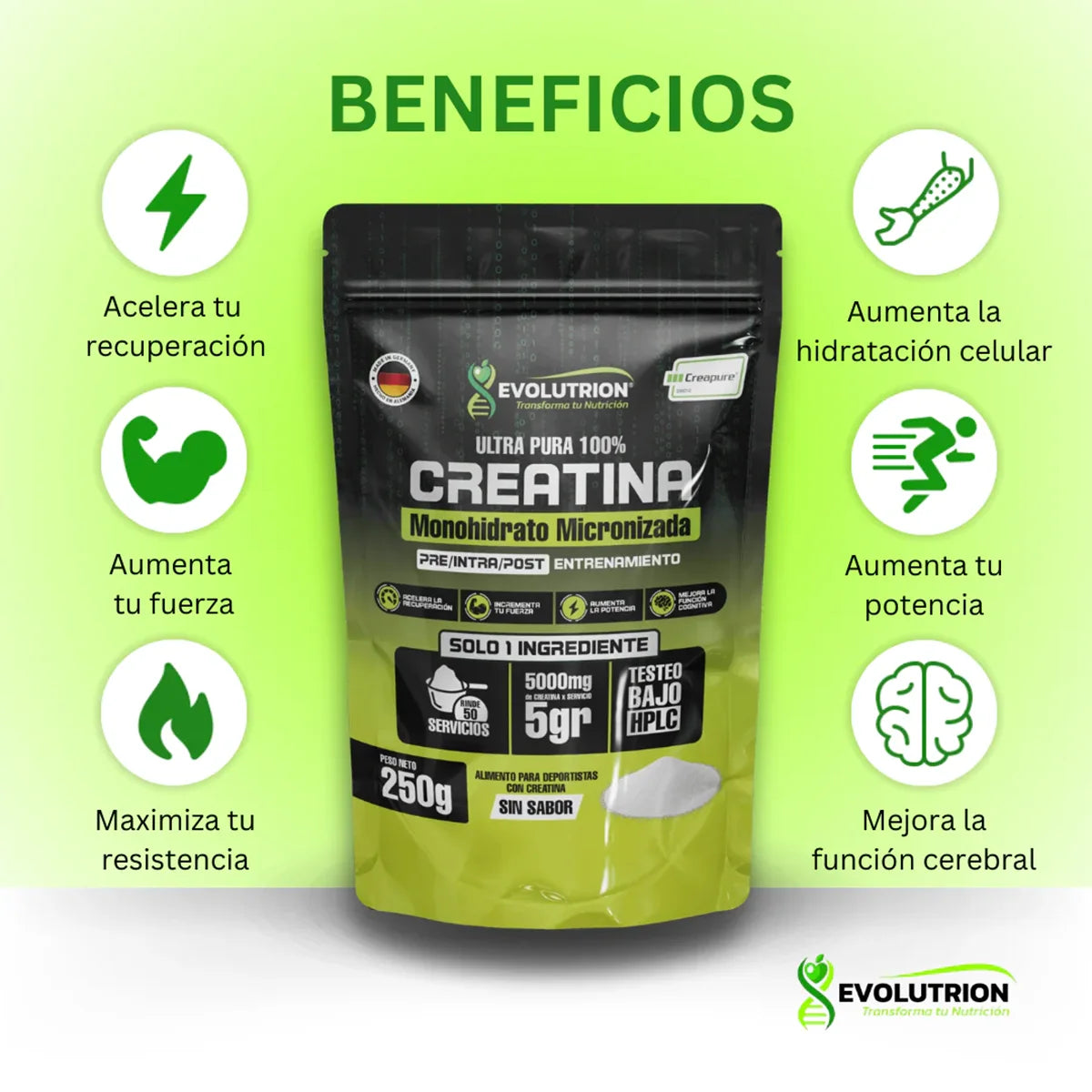 Creatina Monohidratada Creapure MYHD.CL