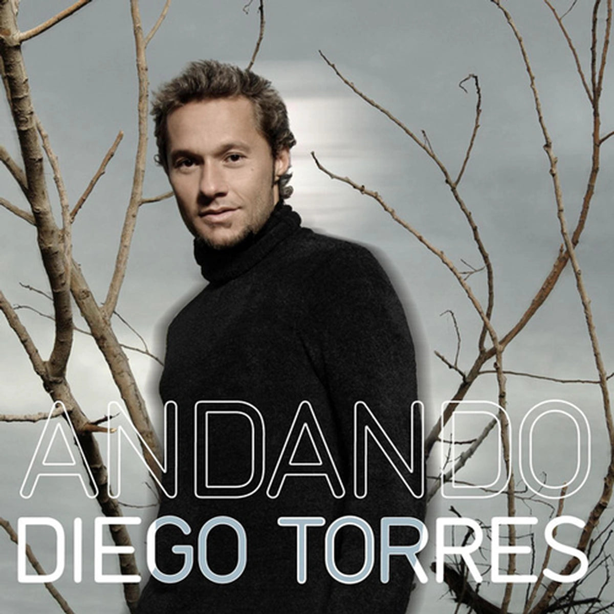 Diego Torres ‎– Andando - CDs &amp; Maxis | myhd.cl