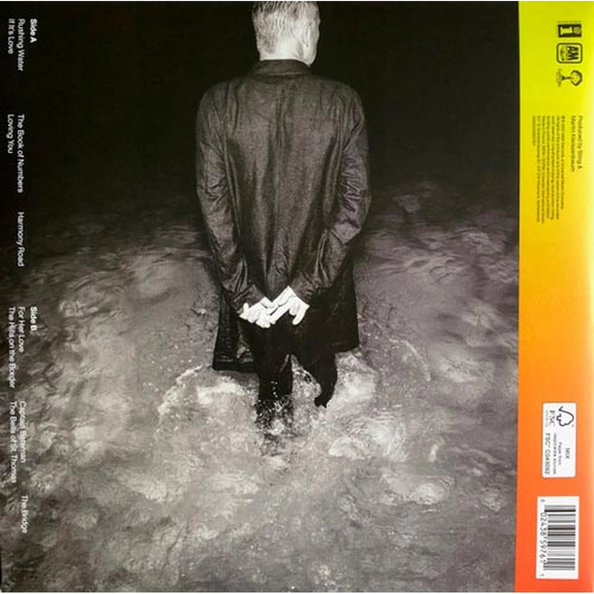 Sting – The Bridge (Vinilo Nuevo)  - __stock:100 | myhd.cl