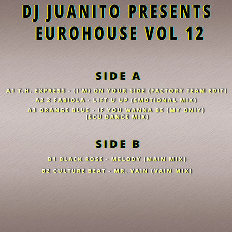 Dj Juanito Presents Euro House Vol 12 (Vinilo Nuevo) myhd.cl