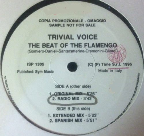 Trivial Voice ‎– The Beat Of The Flamenco